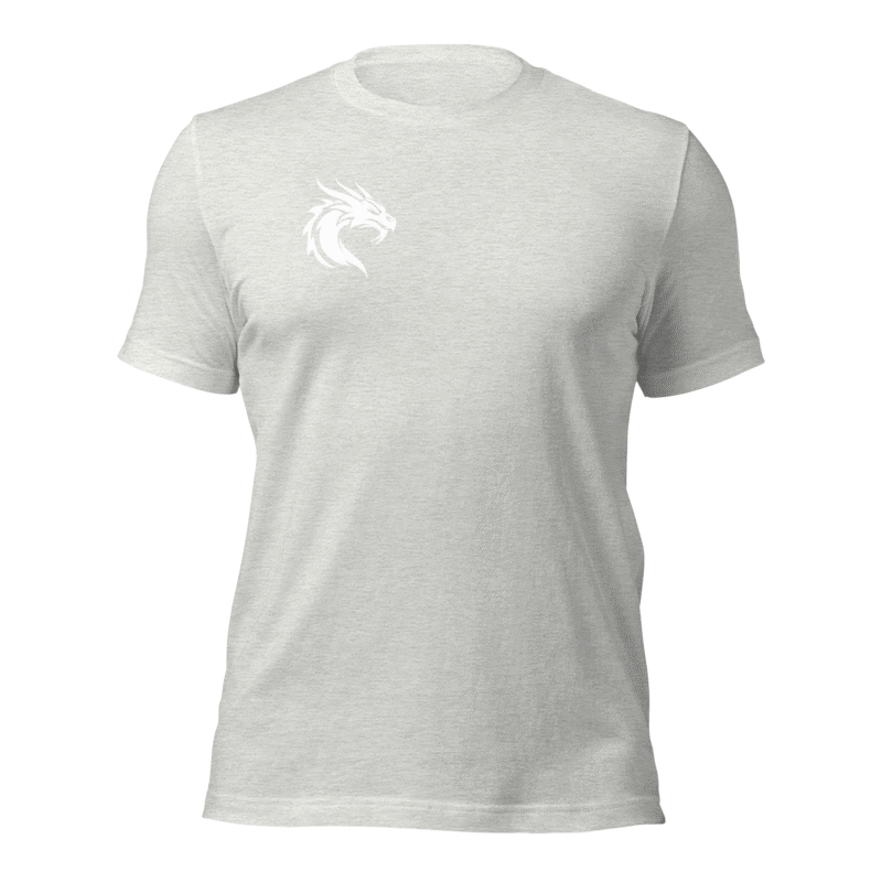 Tee-shirt gris dragon