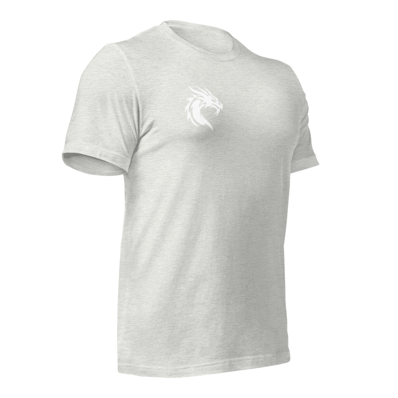 Tee-shirt gris dragon