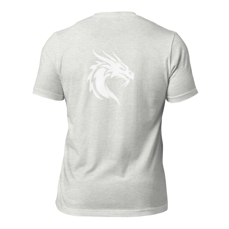 Tee-shirt gris dragon
