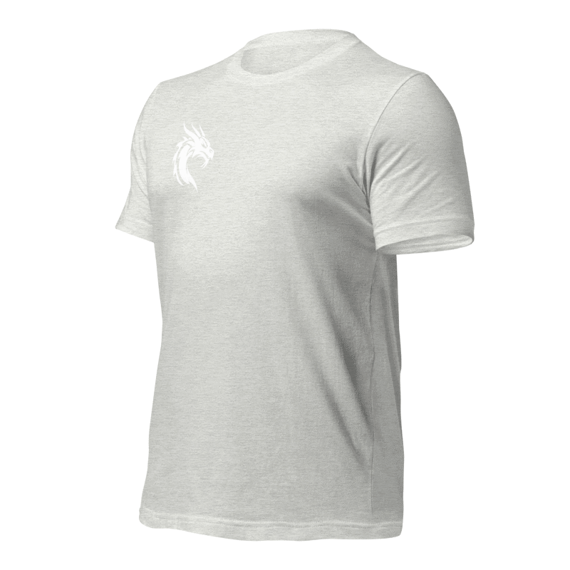 Tee-shirt gris dragon